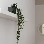 Appartement Sotto Casa C'e Mentre Dentro Abita Bukowski *